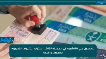 للحصول على التأشيرة في المملكة 2025.. استوفِ الشروط الضرورية بخطوات واضحة